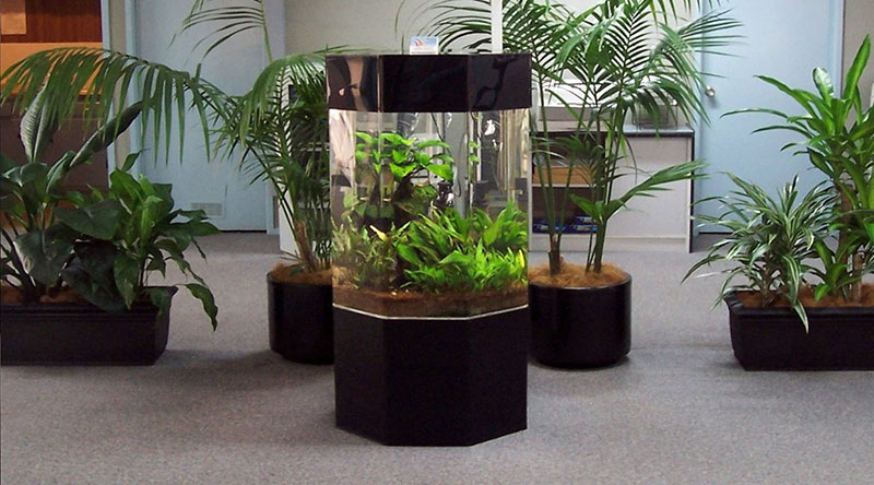 Fish tank all in acrylic